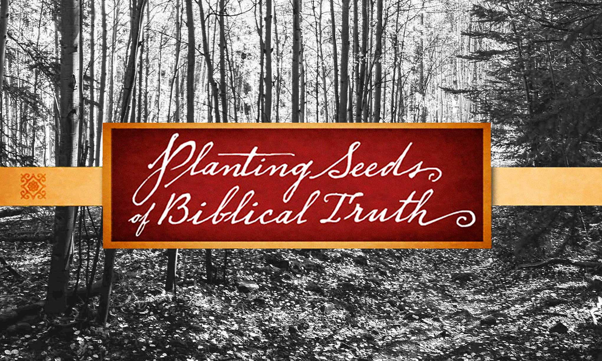 Planting Seeds of Biblical Truth