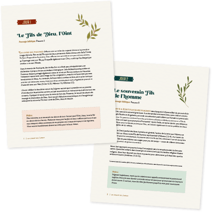 FR_AdventDevo2025-InteriorPages